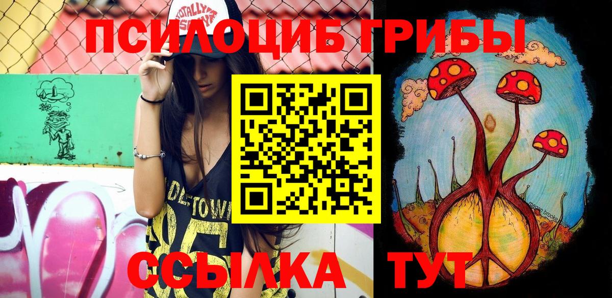 Ессентуки  наркота  Вход с VPN  Галлюциногенные грибы MAGIC MUSHROOMS 